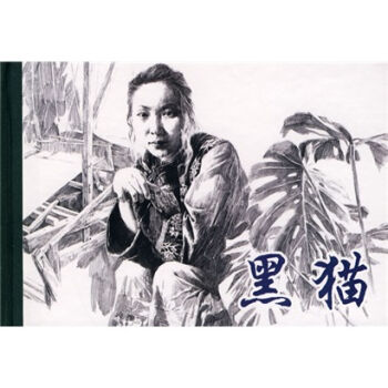 连环画精装品鉴赏：黑猫 小人书   下载