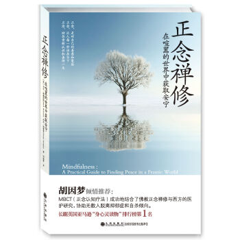正念禅修   下载