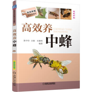 高效养中蜂   下载