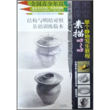 少年儿童美术培训专用教材系列丛书：素描单个静物写生教程   下载
