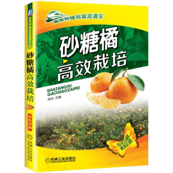 砂糖橘高效栽培   下载