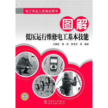 电工作业人员培训用书：图解低压运行维修电工基本技能   下载