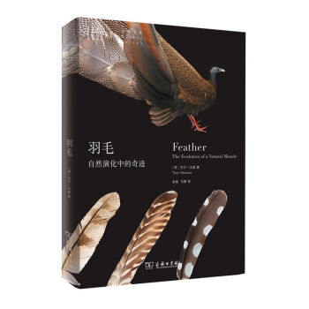 羽毛：自然演化中的奇迹   下载