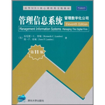 管理信息系统：管理数字化公司   下载