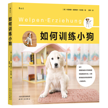如何训练小狗   下载