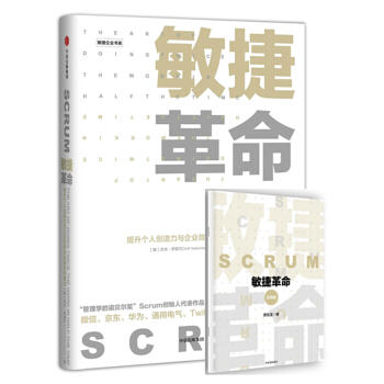 敏捷革命:提升个人创造力与企业效率的全新协作模式   下载