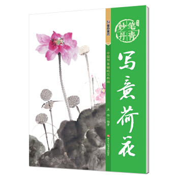 墨点 妙笔丹青写意荷花/美术国画入门水墨画技巧教材   下载