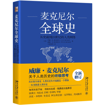 全球史：从史前到21世纪的人类网络   下载