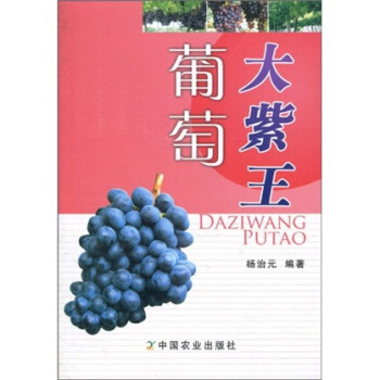 大紫王葡萄   下载