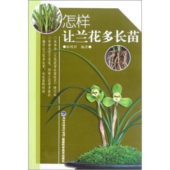 怎样让兰花多长苗   下载