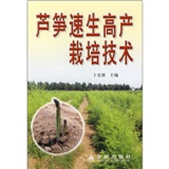 芦笋速生高产栽培技术   下载