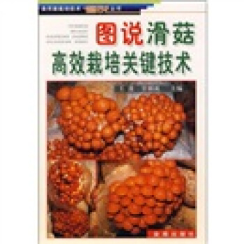 图说滑菇高效栽培关键技术   下载