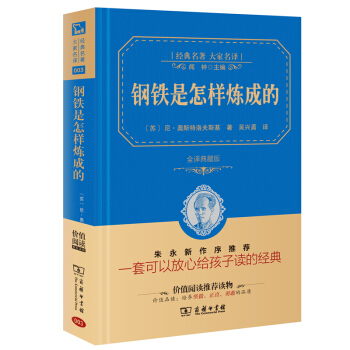 钢铁是怎样炼成的 经典名著 大家名译   下载