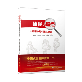 捕捉痛点——大师眼中的中国式厨房   下载