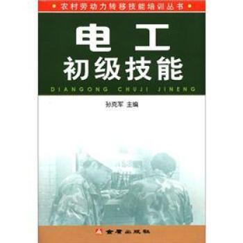 农村劳动力转移技能培训丛书：电工初级技能   下载
