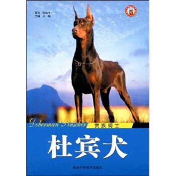 贵族骑士）杜宾犬   下载