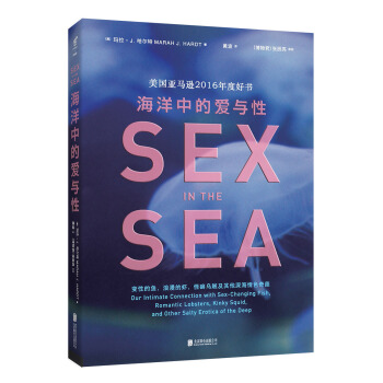 海洋中的爱与性   下载