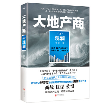 大地产商之观澜   下载