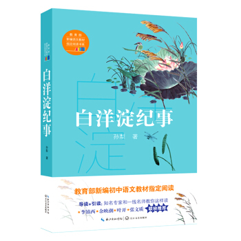 白洋淀纪事   下载