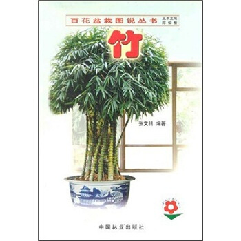 竹   下载