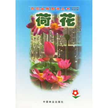 荷花   下载