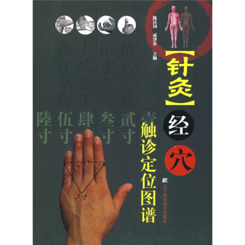 针灸经穴触诊定位图谱   下载