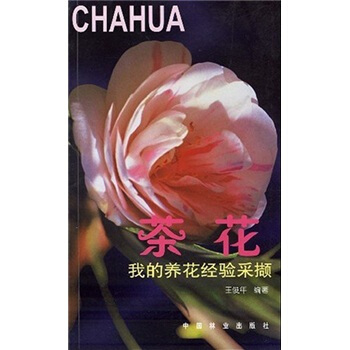 我的养花经验采撷：茶花   下载