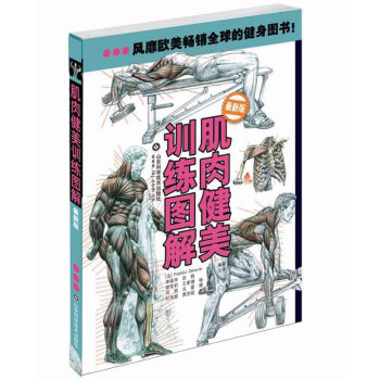 肌肉健美训练图解（最新版） 下载