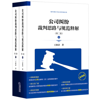 公司纠纷裁判思路与规范释解（第二版 套装上下册） 下载