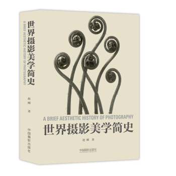 世界摄影美学简史 下载