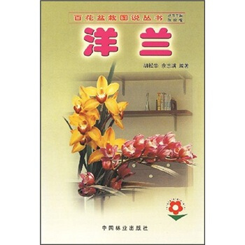 洋兰 下载