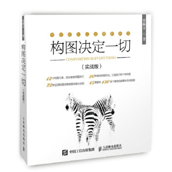 构图决定一切 摄影构图教程书 下载
