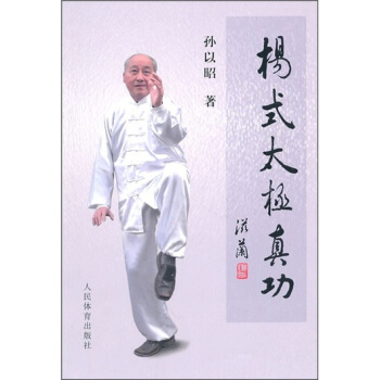 杨式太极真功 下载