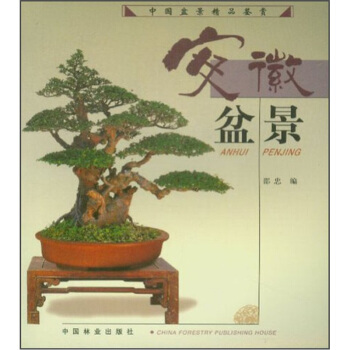 安徽盆景 下载