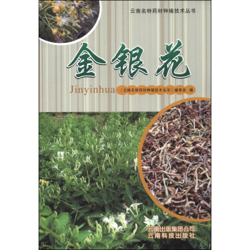 云南名特药材种植技术丛书：金银花 下载