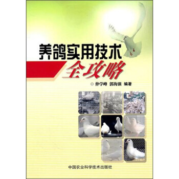养鸽实用技术全攻略 下载
