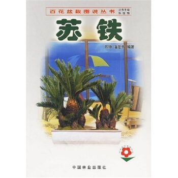 苏铁 下载