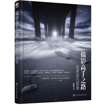 摄影高手之路：培养非凡视角 下载