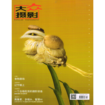 大众摄影（2018年8月号） 下载