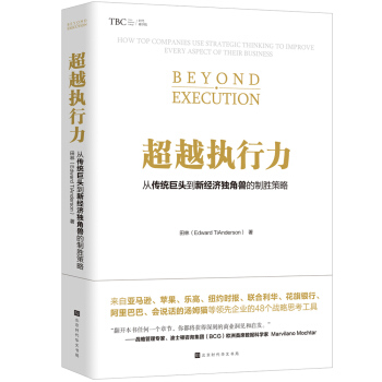 超越执行力:从传统巨头到新经济独角兽的制胜策略 下载