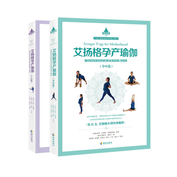 艾扬格孕产瑜伽：孕中篇和产后篇 （平装套装版） 下载