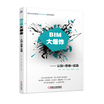 BIM大爆炸 认知+思维+实践 下载