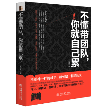 不懂带团队你就自己累 下载