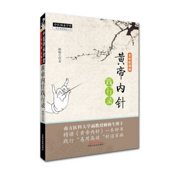 黄帝内针践行录 下载