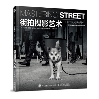 街拍摄影书 街拍摄影艺术 下载