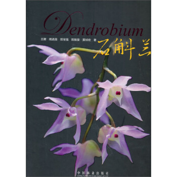 石斛兰 下载