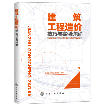 建筑工程造价技巧与实例详解 下载