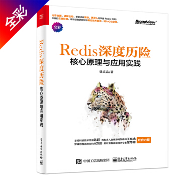 Redis 深度历险：核心原理与应用实践 下载
