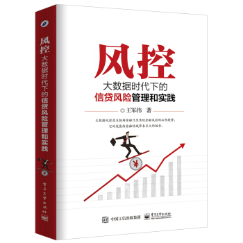 风控：大数据时代下的信贷风险管理和实践 下载