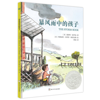 凯迪克银奖绘本：暴风雨中的孩子（奇想国童书） 下载